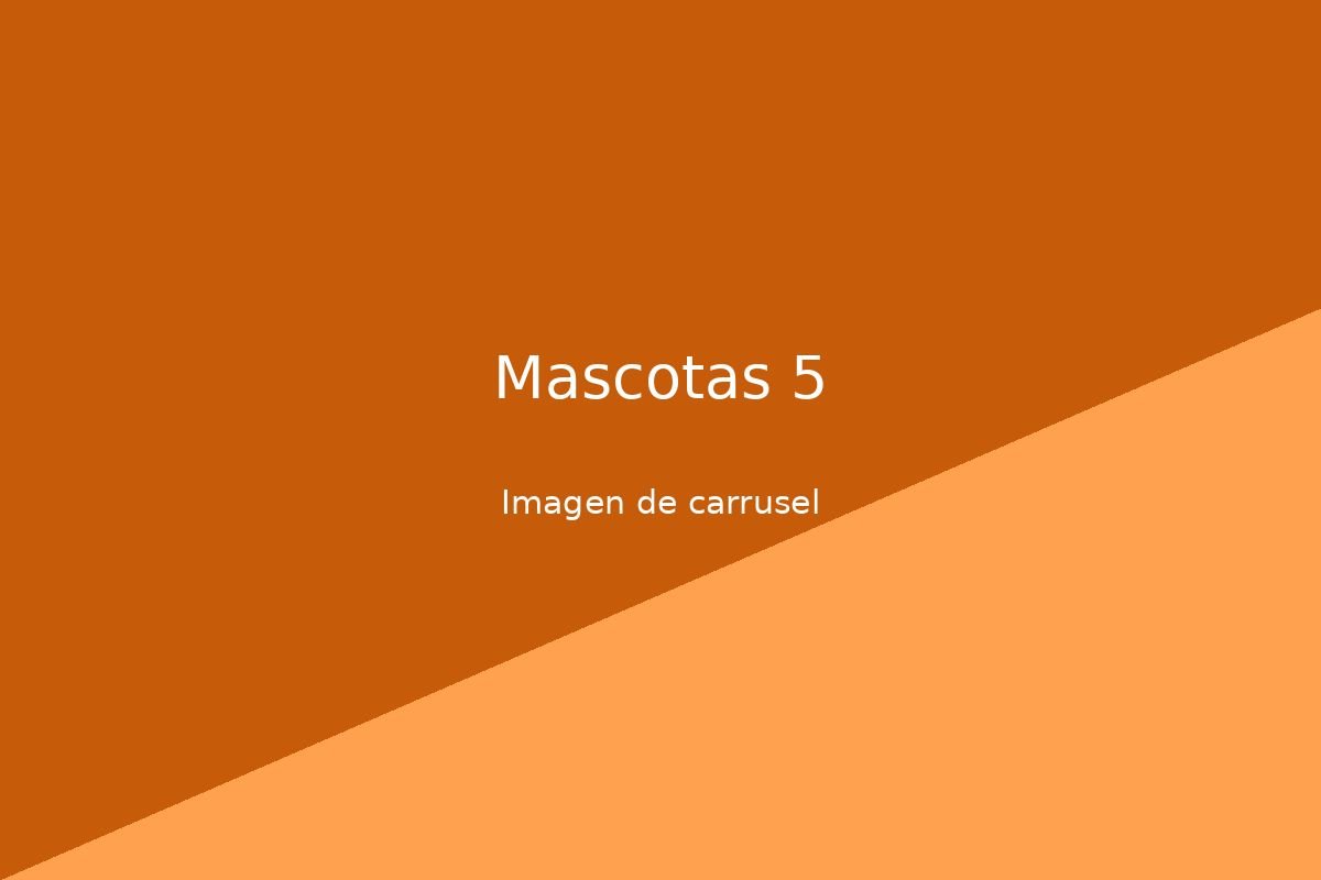 Imagen 5