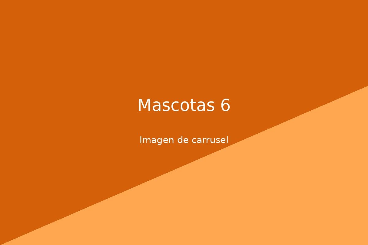 Imagen 6